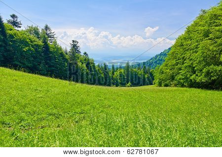 Spring Landscape. View From Mountain Pass.