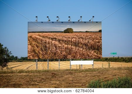 Before Harvest And Post-harvest