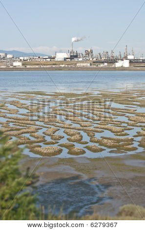 石油精製