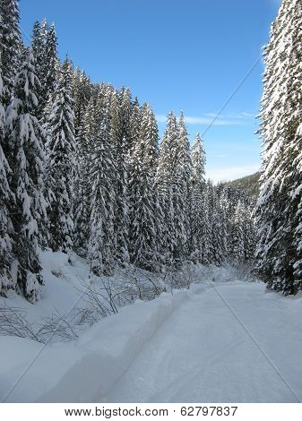 vigo di fassa
