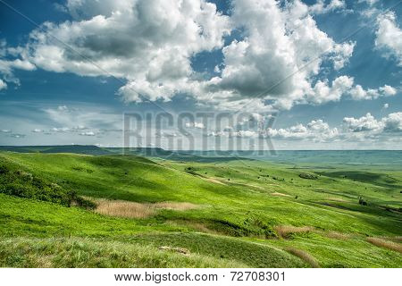 Flowers In The Mountains. Russia, Stavropol.