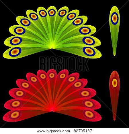 Peacock Tail