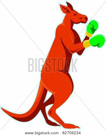 Kangaroo Boxer Boxing Retro