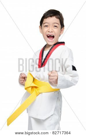 Little Tae Kwon Do Boy Martial Art Yellow Belt