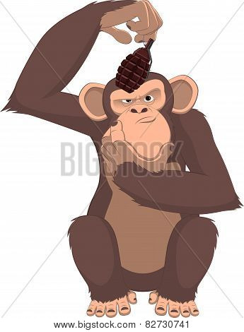 Monkey with a grenade