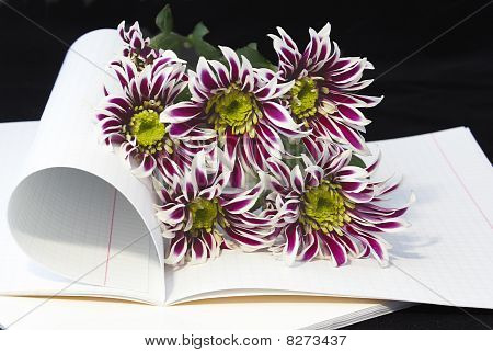 Opened Notebook And Flowers.
