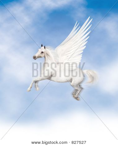 Pegasus