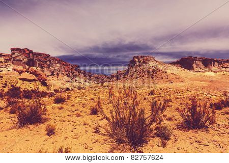 Landscapes in Northern Argentina