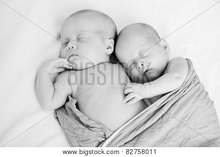 Sweet Twins