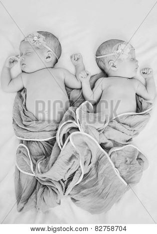 Twins Are Sleeping