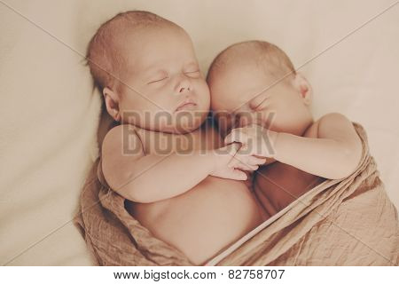 Sleeping Twins
