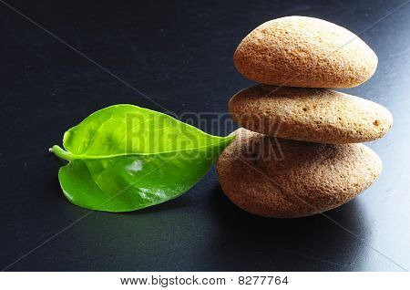 Zen Still Life