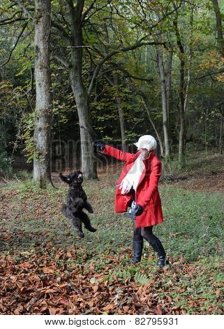 Girl playing with dog in the autumnal woods