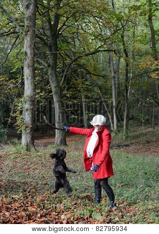 Girl playing with dog in the autumnal woods
