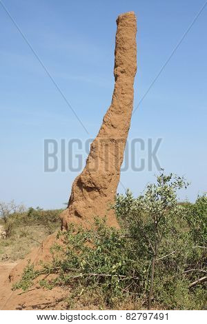 Termite Nest, Ethiopia, Africa