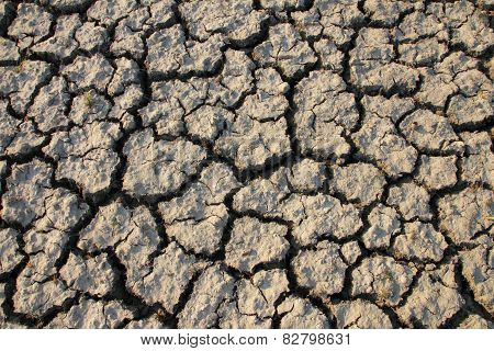 Cracked Soil