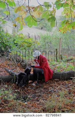 Girl playing with dog in the autumnal woods