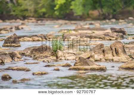 Scenes Around Landsford Canal State Park In South Carolina