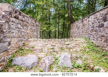 Scenes Around Landsford Canal State Park In South Carolina