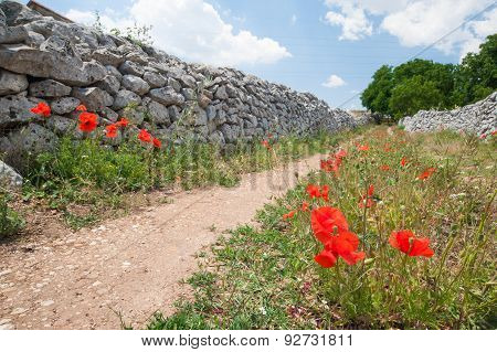Country Road