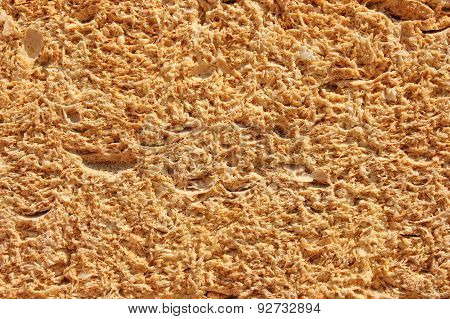 Shell rock brown texture