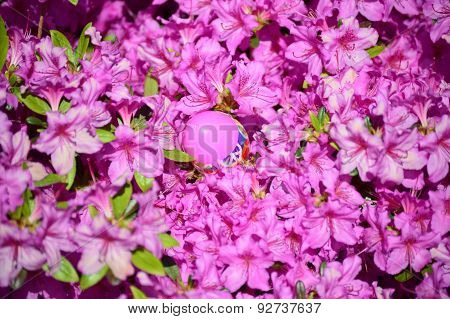 Pink Egg And Flowers