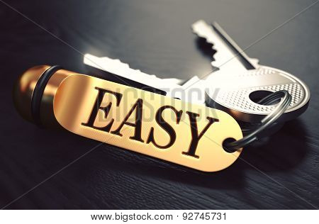 Easy Concept. Keys with Golden Keyring.