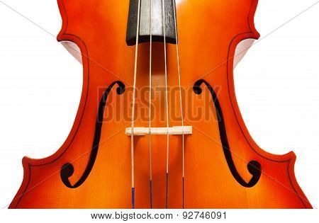 Violoncello body with bridge and F-holes