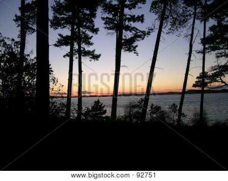 Puget Sound Sunset