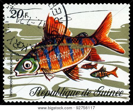 Vintage  Postage Stamp. Fish Distichodus Sexfasciatus.