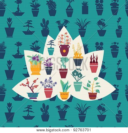 Silhouette Of Garden Flowers  And  Herbs Pot Plants