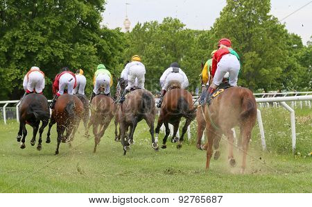Rear View Of A Group Of Race Horses Before A Curve
