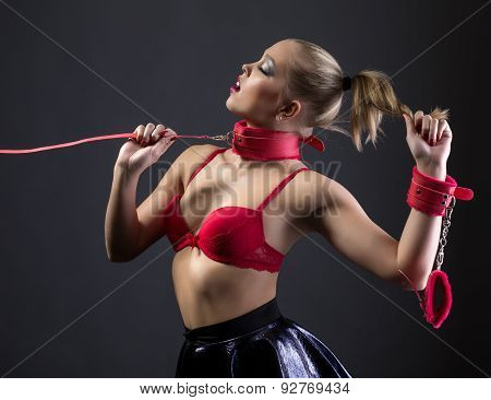 BDSM. Image of beautiful glamorous girl on leash