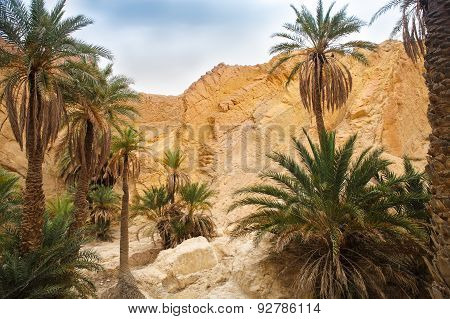 View Of Mountain Oasis Chebika, Sahara Desert, Tunisia