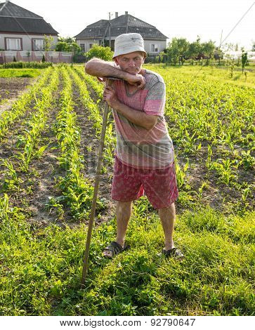 Farmer Hoeing Vegetable Garden