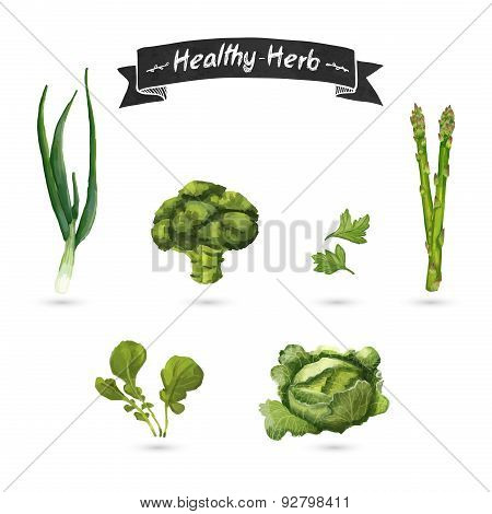 Set of herbs for food in a watercolor style. Isolated. Vector.