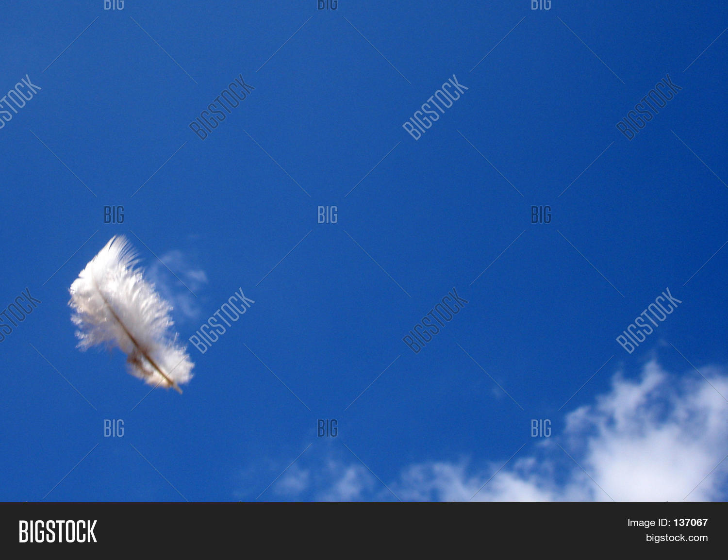 Feather Floating Air Image & Photo (Free Trial) Bigstock