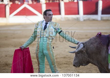 Ubeda Spain - September 29 2010: The Spanish Bullfighter El Cid bullfighting with the crutch in the Bullring of Ubeda Spain