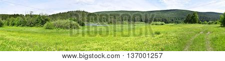Green summer meadow with grass , trees and mountain.