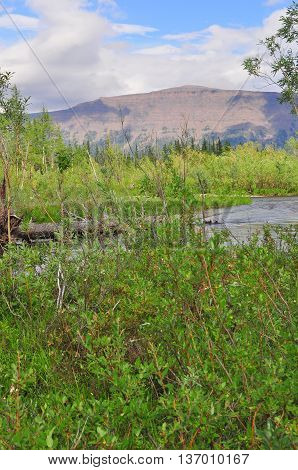 River in mountain taiga. Water landscape Putorana plateau Siberia Russia.