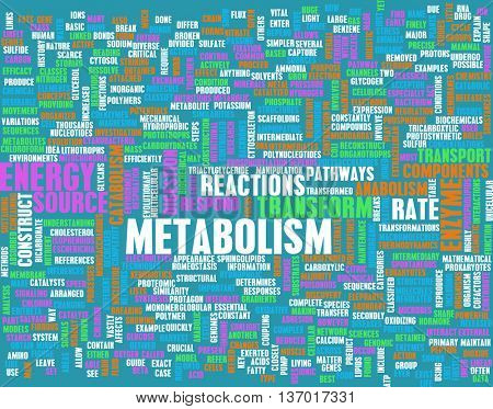Metabolism as a Medical Health Exercise Concept