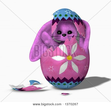 Éclosion Bunny 