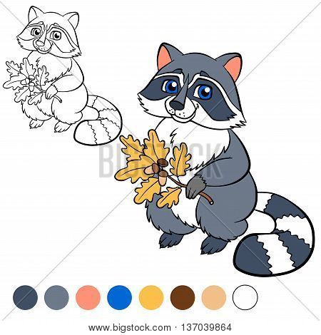 Coloring Page. Color Me: Raccoon.