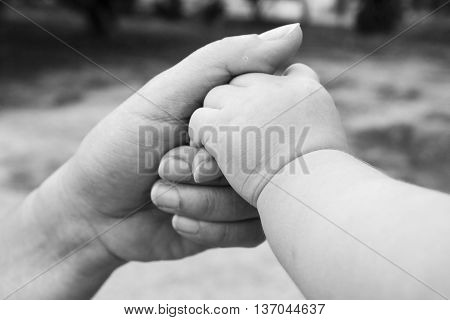background baby hold finger of mother in black and white