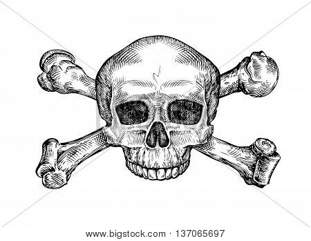 Jolly roger. Hand-drawn human skull and crossbones. Sketch vector illustration