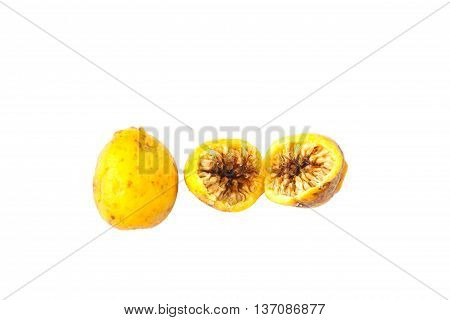 Weeping Fig, Ficus Benjamina Fruit