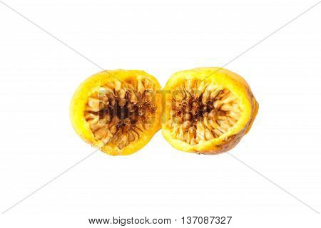 Weeping Fig, Ficus Benjamina Fruit