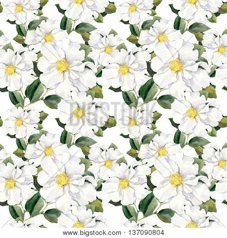 Foral pattern with white flowers magnolia. Watercolor