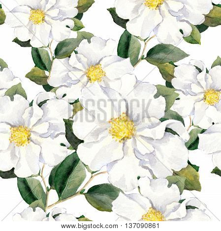 Foral pattern with white flowers magnolia. Watercolor