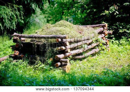 beautiful natural compost heap in woodland permaculture garden